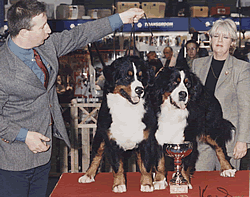 Campionati bellezza