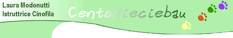 Centodieciebau